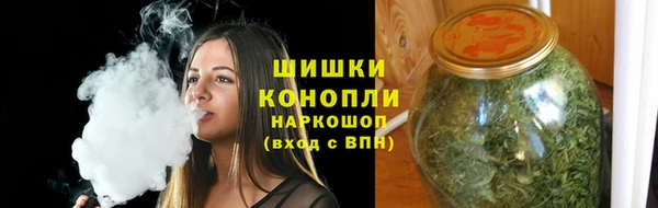трава Аркадак
